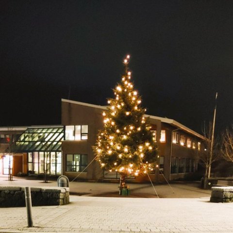 Jólaskreytingar í Ölfusi 2025 - samkeppni