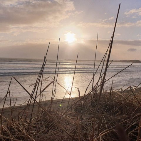 Ferðamálafélag Ölfuss, Við Þorlákshöfn - Hamingjan við hafið