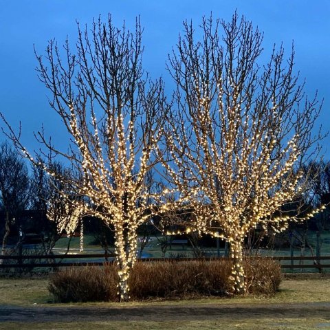 Jólaskreytingar í Ölfusi 2025 - samkeppni