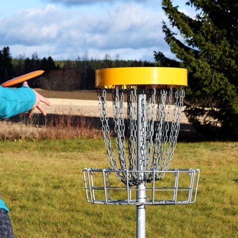 Frisbígolf námskeið - ókeypis fyrir alla