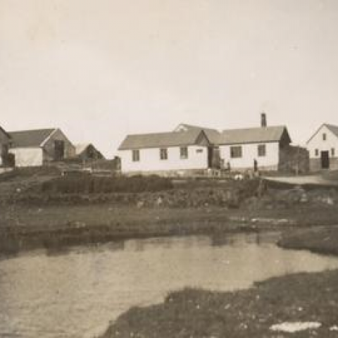 Ganga - Ferðamálafélag Ölfuss