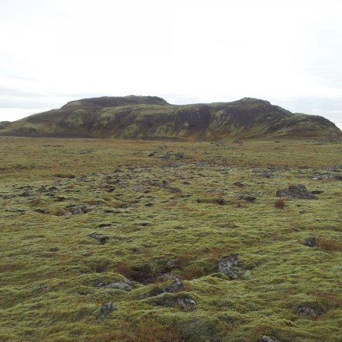 Ferðamálafélag Ölfuss - ganga