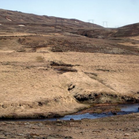 Ferðamálafélag Ölfuss, Jónsmessuganga