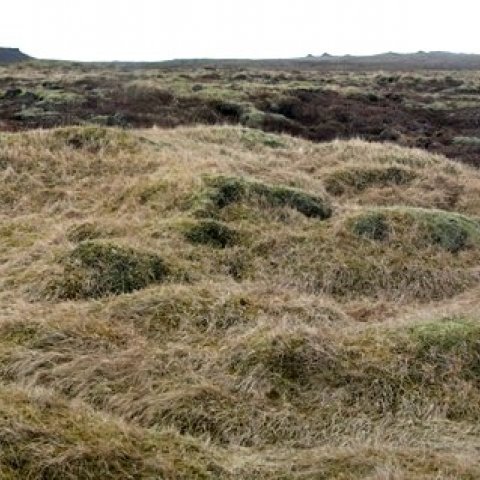Ferðamálafélag Ölfuss - ganga