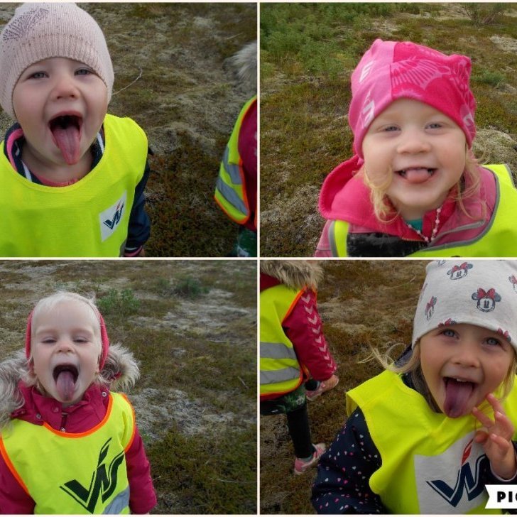 Hver er með bláa tungu eftir krækiberin