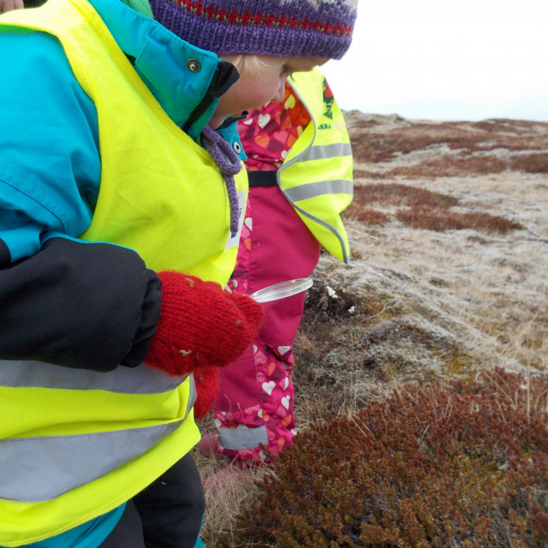 Börnin rannsaka lyngið með stækkunarglerinu