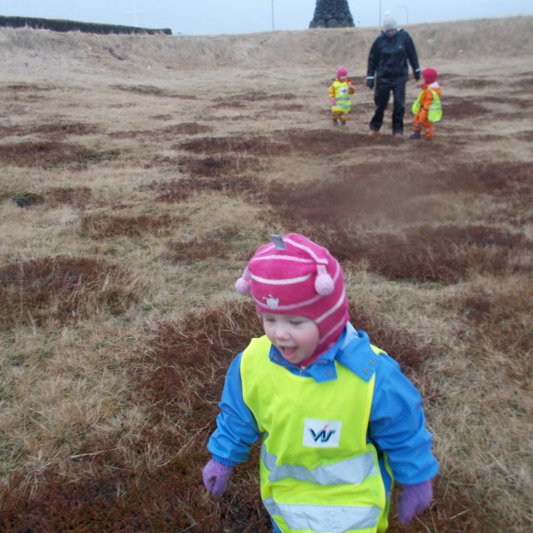 Komin í móann út á Nesi