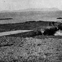 hofn1929