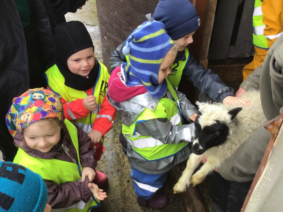 Álfaheimar - Lambaferð 2019