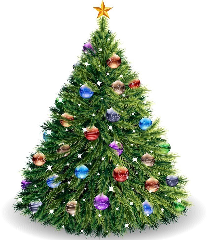 Söfnun jólatrjáa í Þorlákshöfn - Flugeldar – Hreinsun og förgun