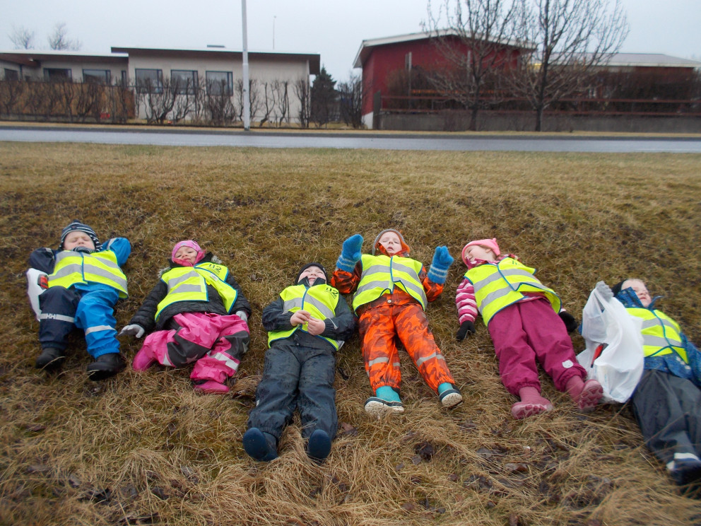 Tröllaheimar - fuglalífið í Þorlákshörn 2018
