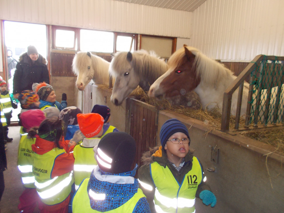 Tröllaheimar - sveitaferð 2018