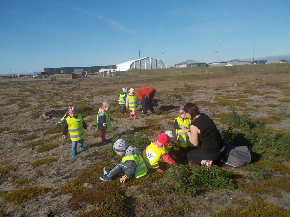 Dvergaheimar í berjamó