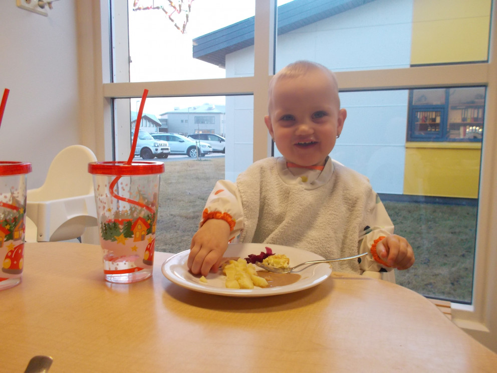 Dvergaheimar - jólamatur