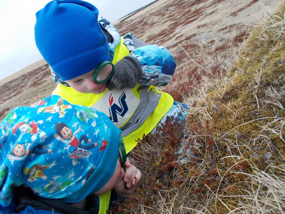 Dvergaheimar - Nesið 10. apríl