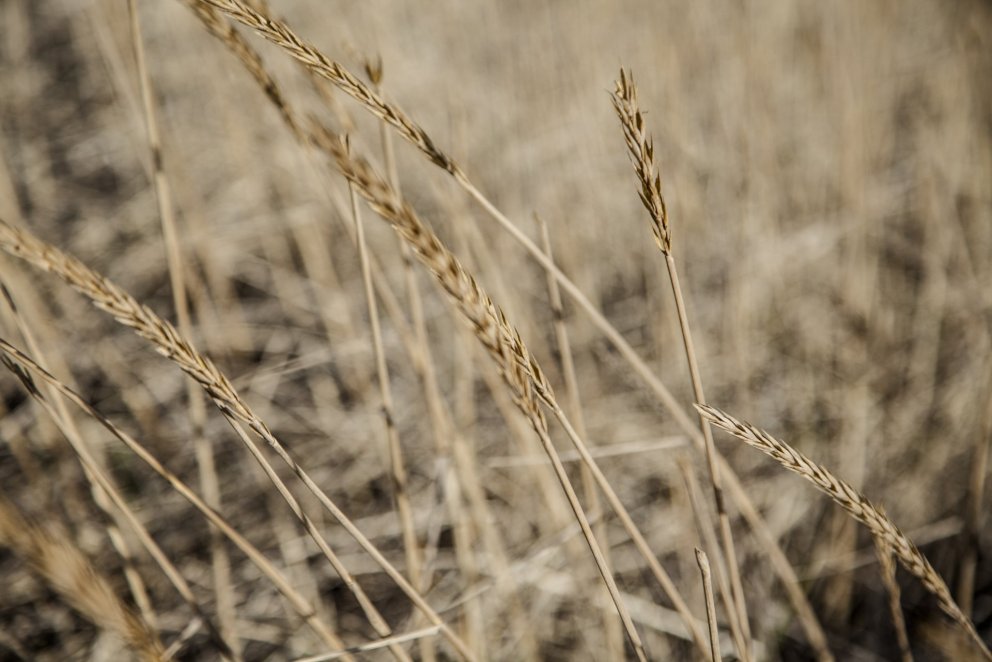Auglýsing um forkynningu á deiliskipulagstillögum
