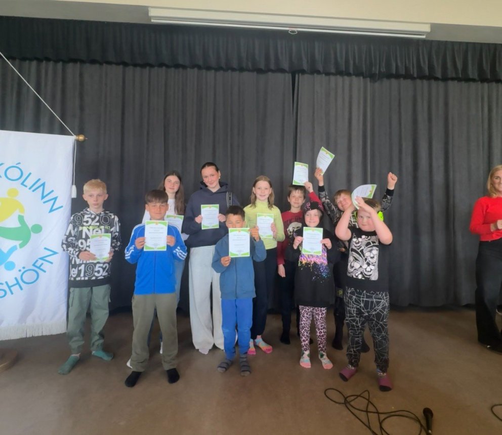 Vinningshafar fjölgreindaleikanna 2025