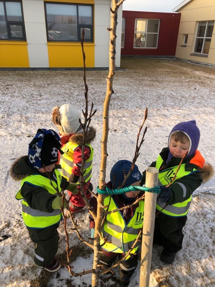 Bersahópur í gönguferð