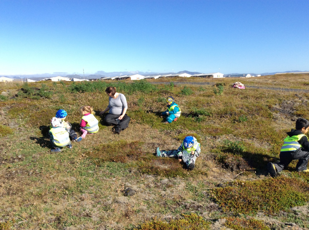 Hulduheimar - berjamó