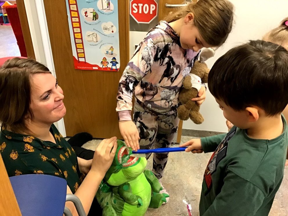 Hulduheimar - tannverndarvika