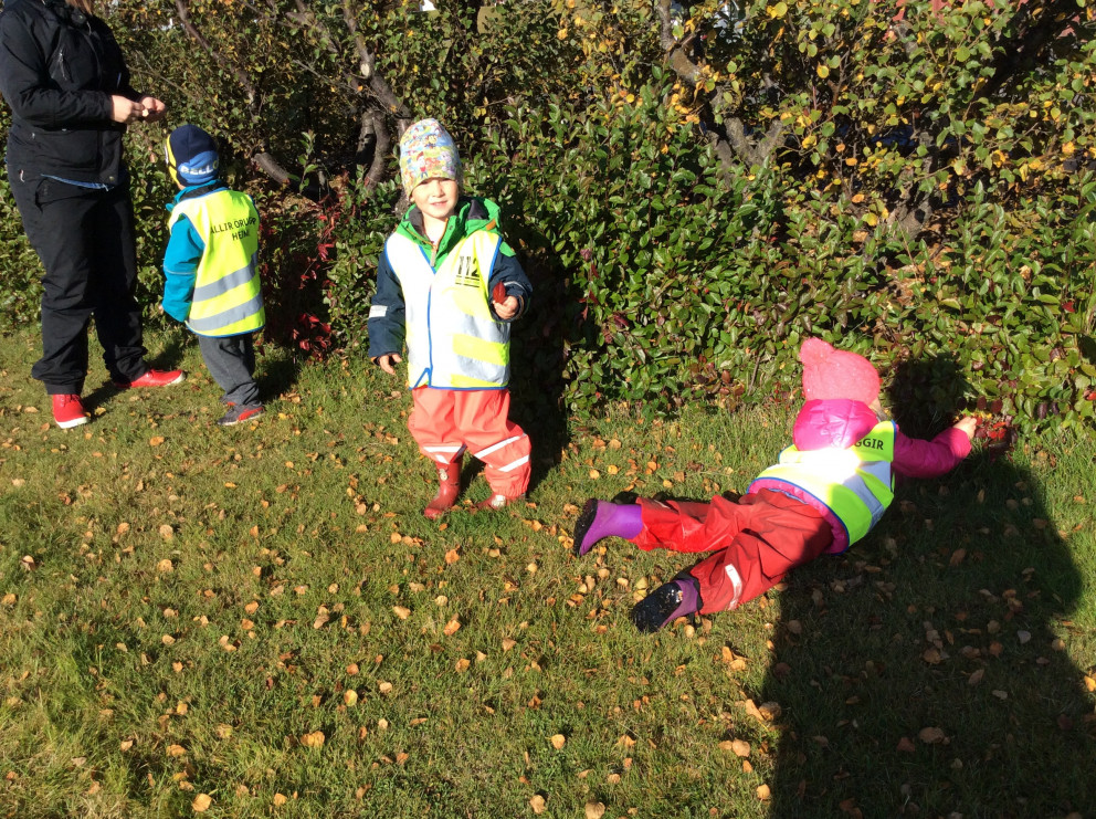 Hulduheimar - Vettvangsferð að tína laufblöð