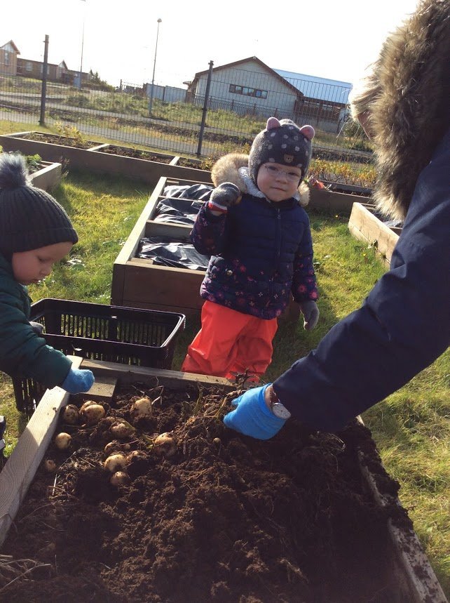 Dvergaheimar - uppskera 2019