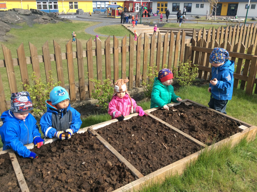 Álfaheimar - Gróðursetning 2018