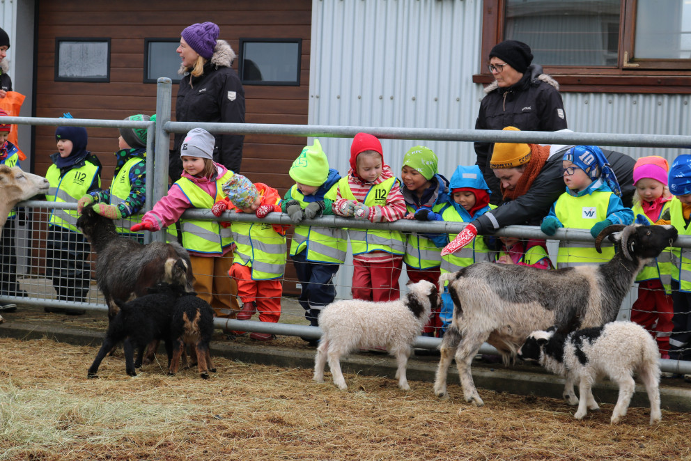 Hulduheimar -Lambaferð