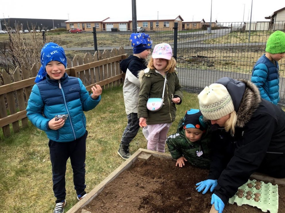 Hulduheimar - setja niður kartöflur og gulrætur