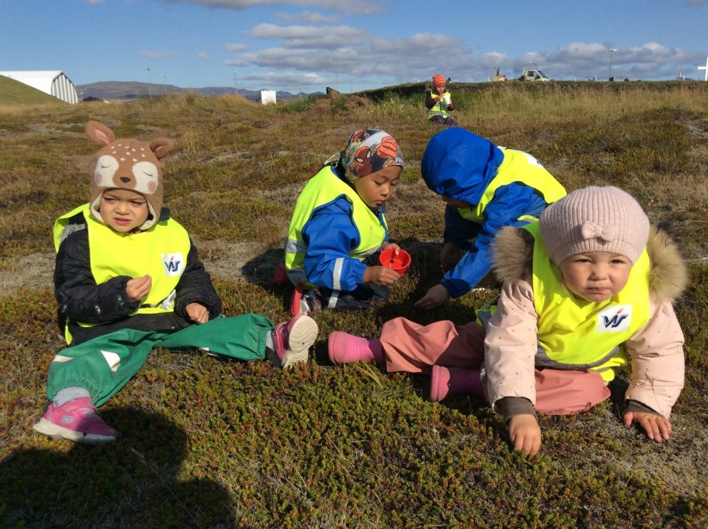 Álfaheimar - Berjamó 2018
