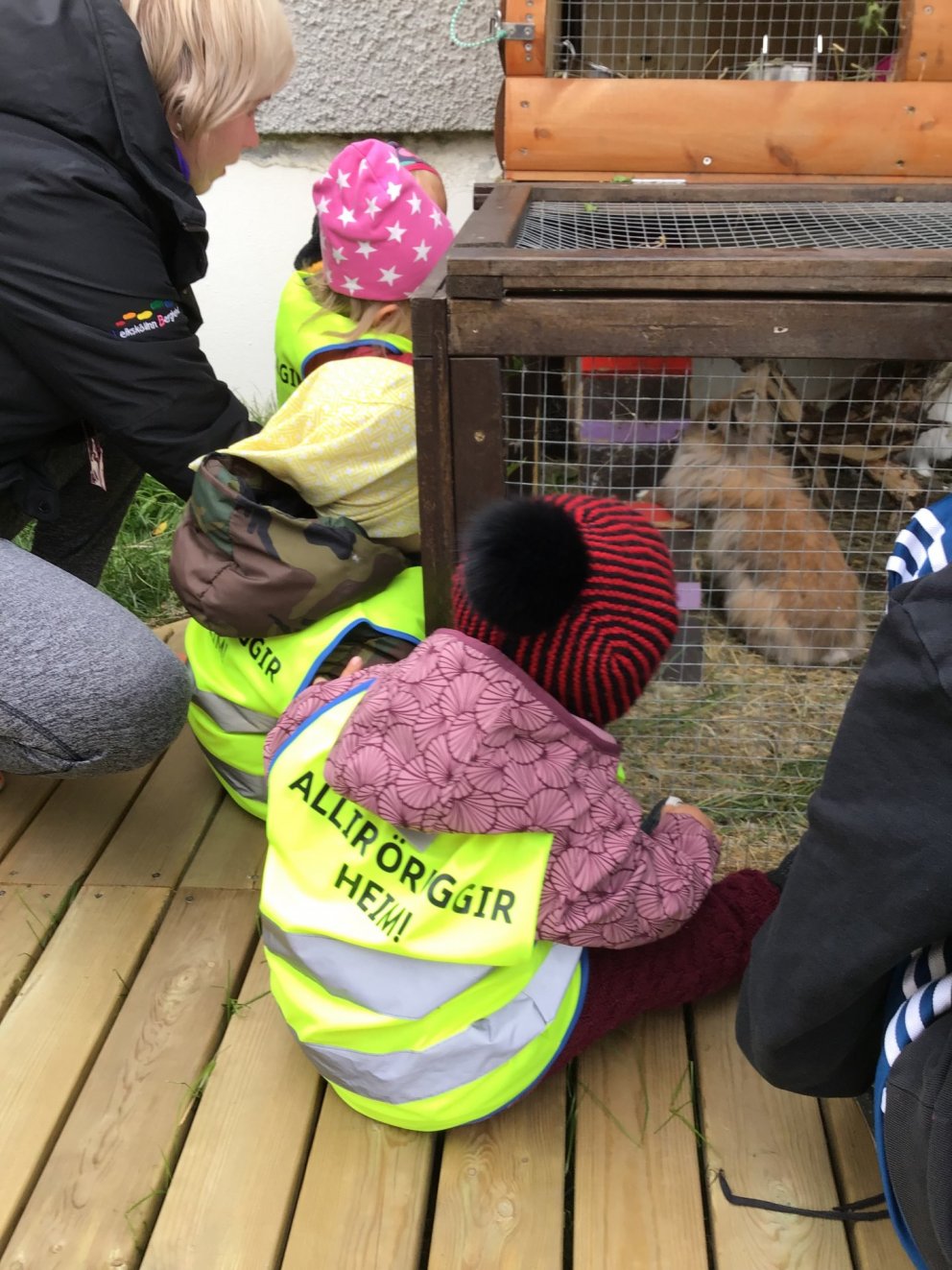 Dvergaheimar - kíkt á kanínur