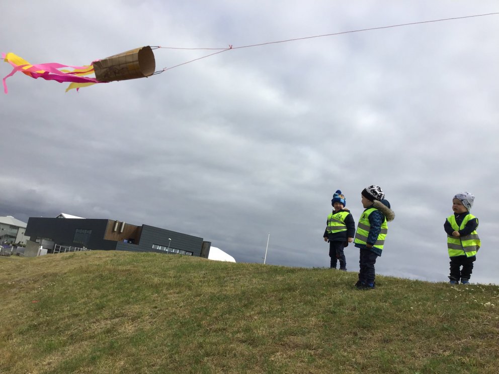 Dvergaheimar - flugdreki