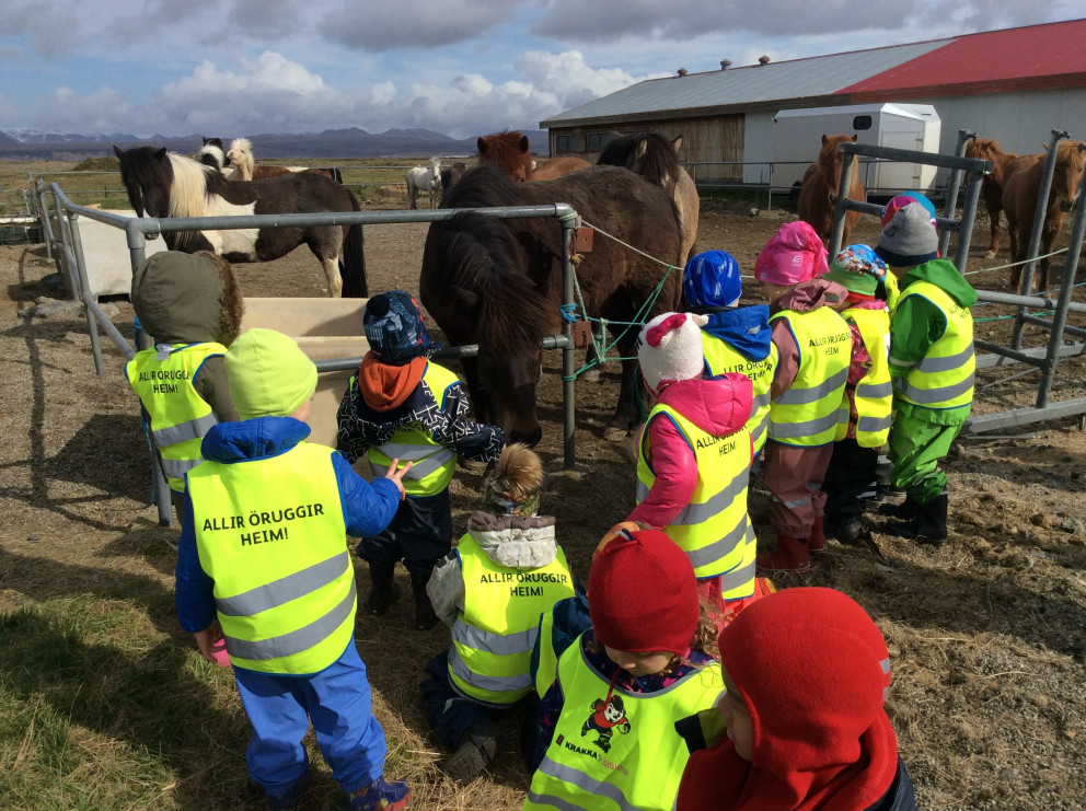 Hulduheimar - lambaferð 2018