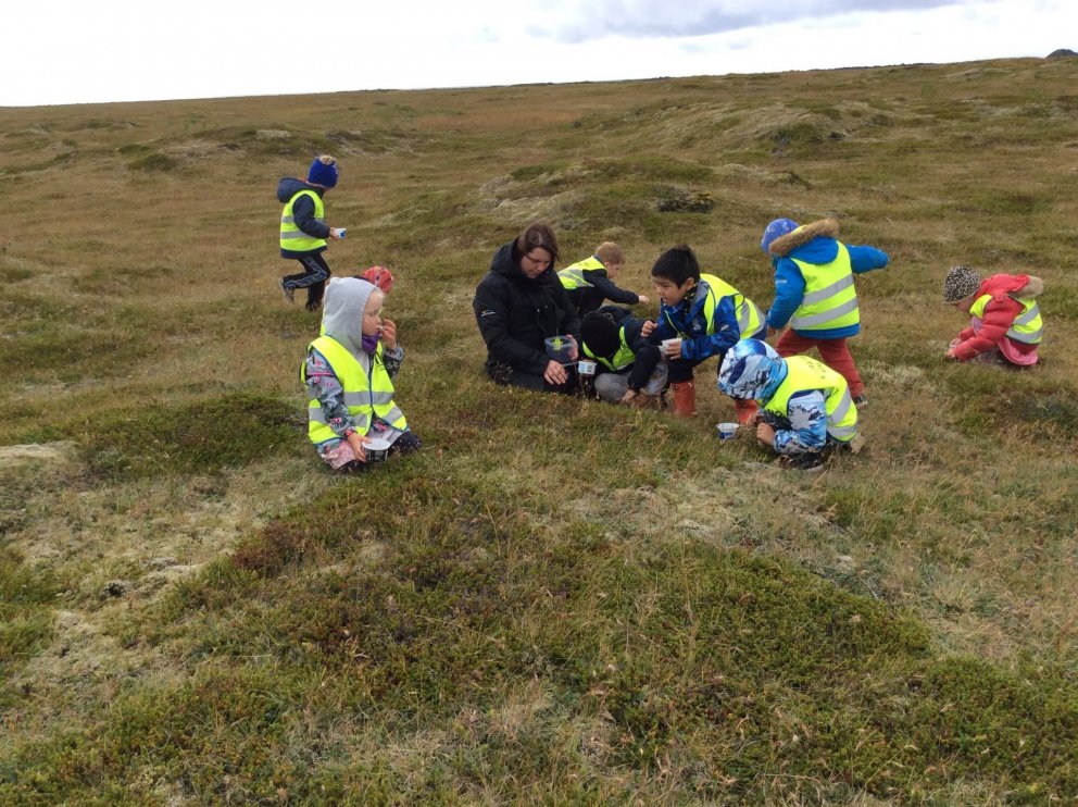 Hulduheimar-berjamó 2018