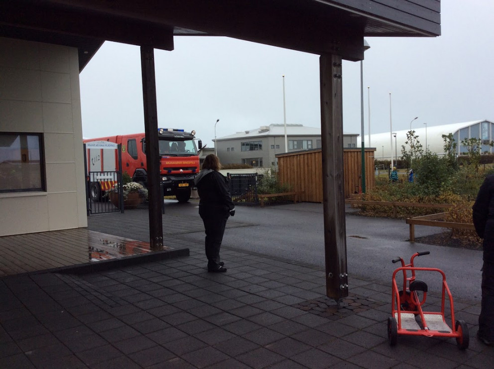 Tröllaheimar - Bangsinn Blær kemur úr sumarfríi