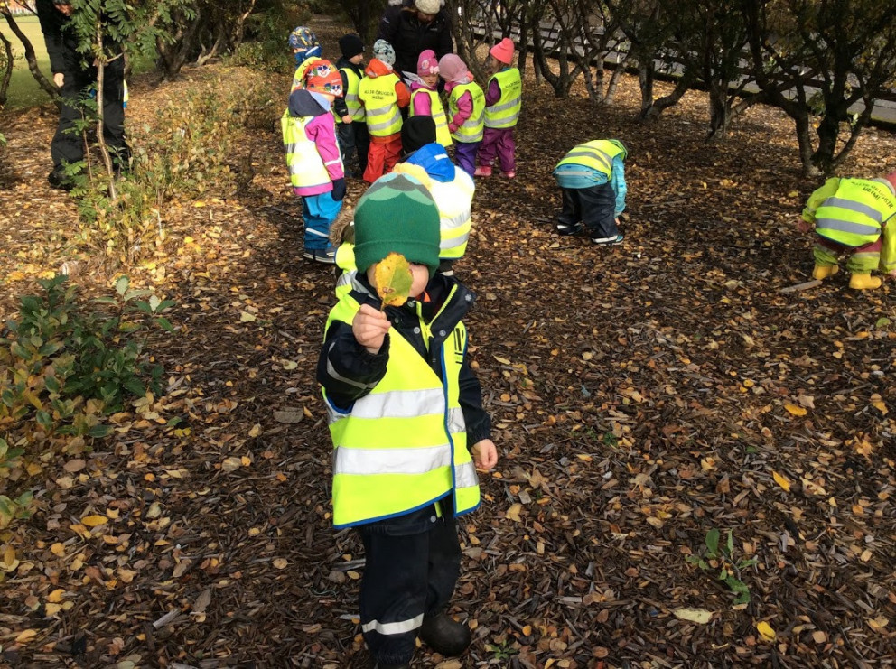 Tröllaheimar - Haustverkefni 2017