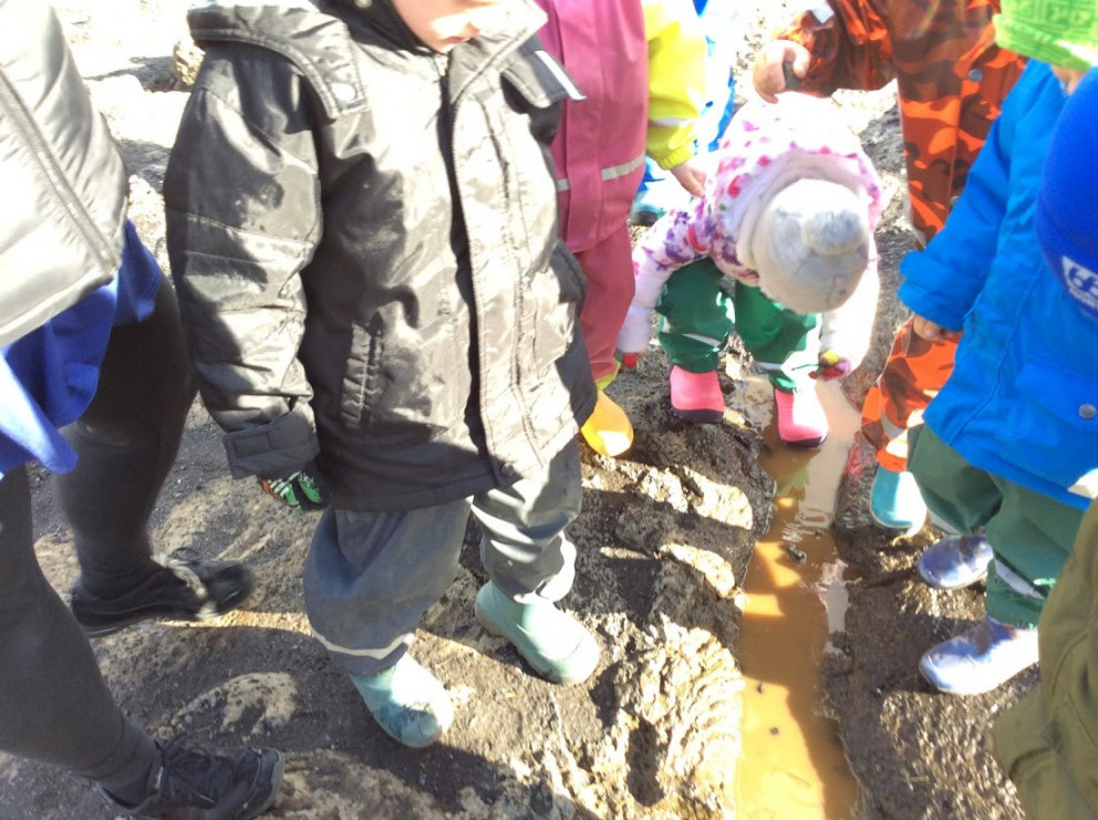 Tröllaheimar - Flýtur/sekkur