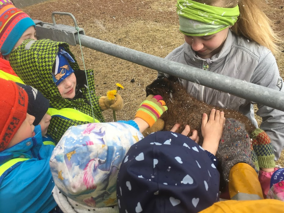 Goðheimar - Lambaferð