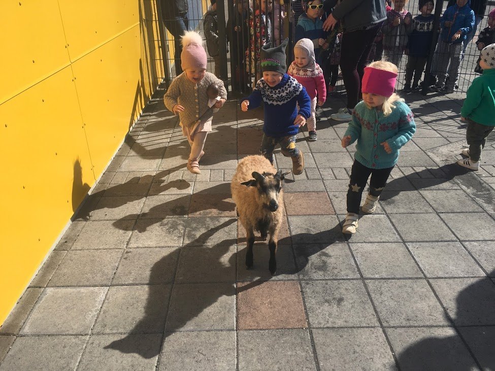 Ásheimar - Heimalingar í heimsókn