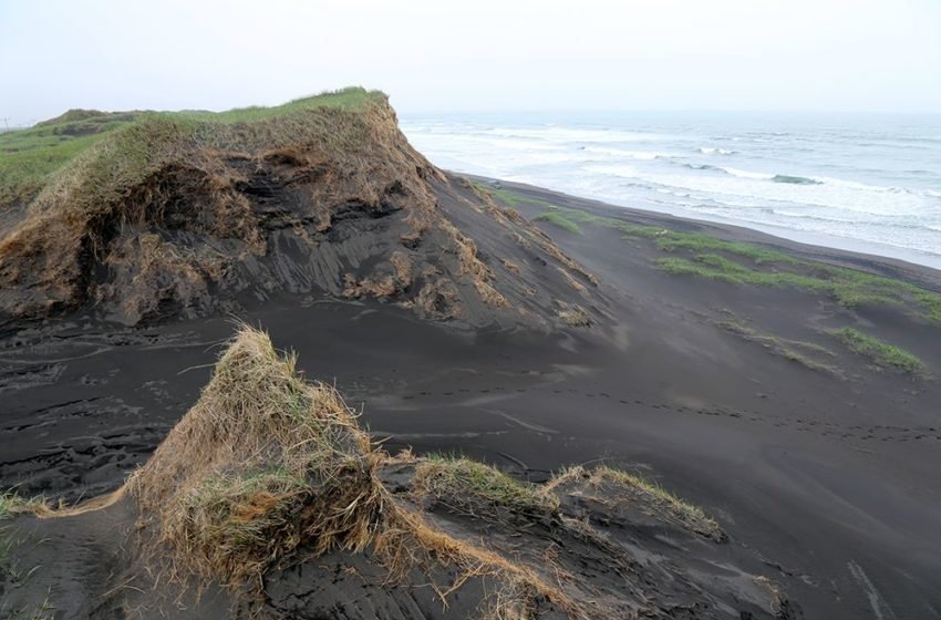 Uppgræðslusjóður Ölfuss - Auglýsing um styrki til landbótaverkefna 2024