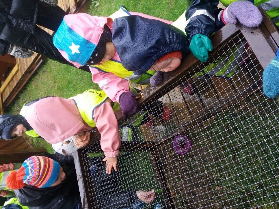 Dvergaheimar í kanínuferð