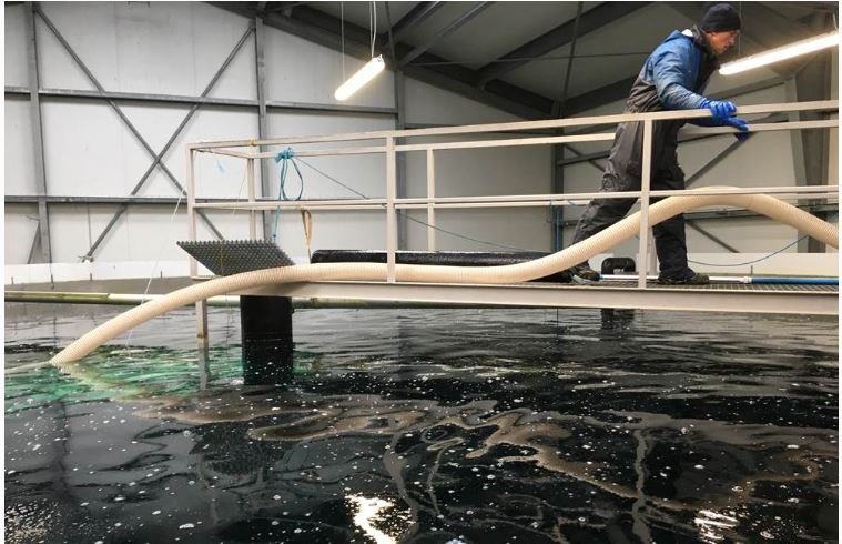 Starfsleyfistillaga fyrir seiðaeldisstöð Laxa Fiskeldi ehf