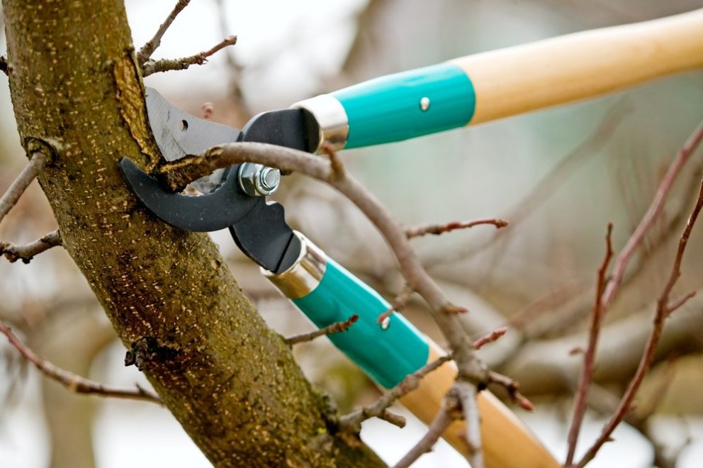 Vinsamleg beiðni til íbúa um að: