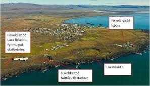 Mat á umhverfisáhrifum