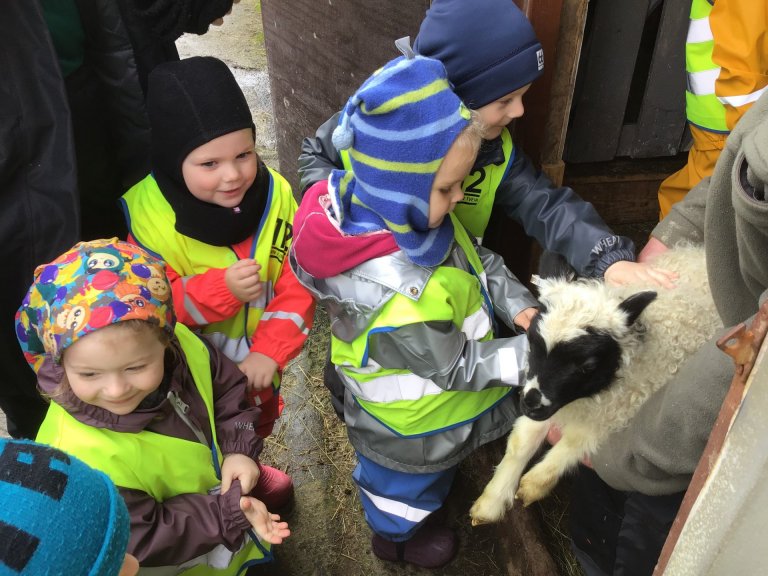 Álfaheimar - Lambaferð 2019