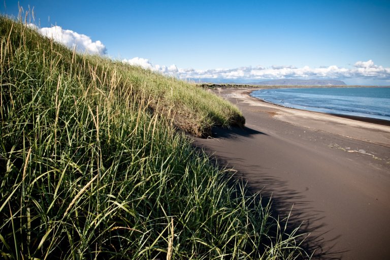 Tilnefningar til lista- og menningarverðlauna Ölfuss 2023