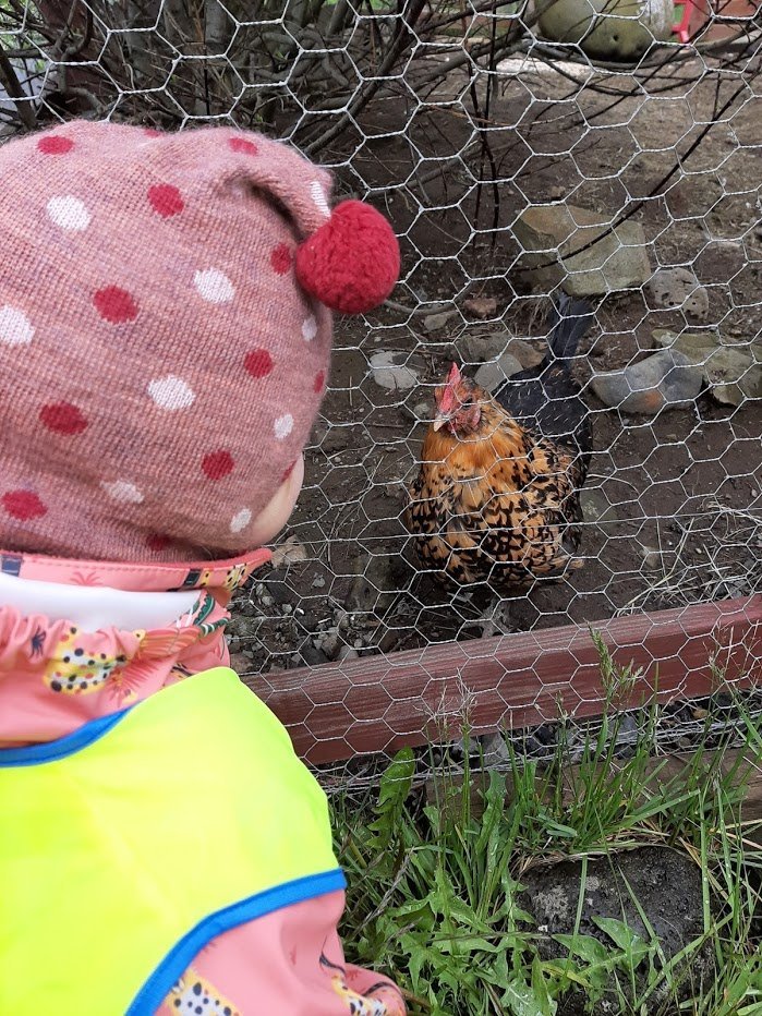 Dvergaheimar-Eldri börn í gönguferð