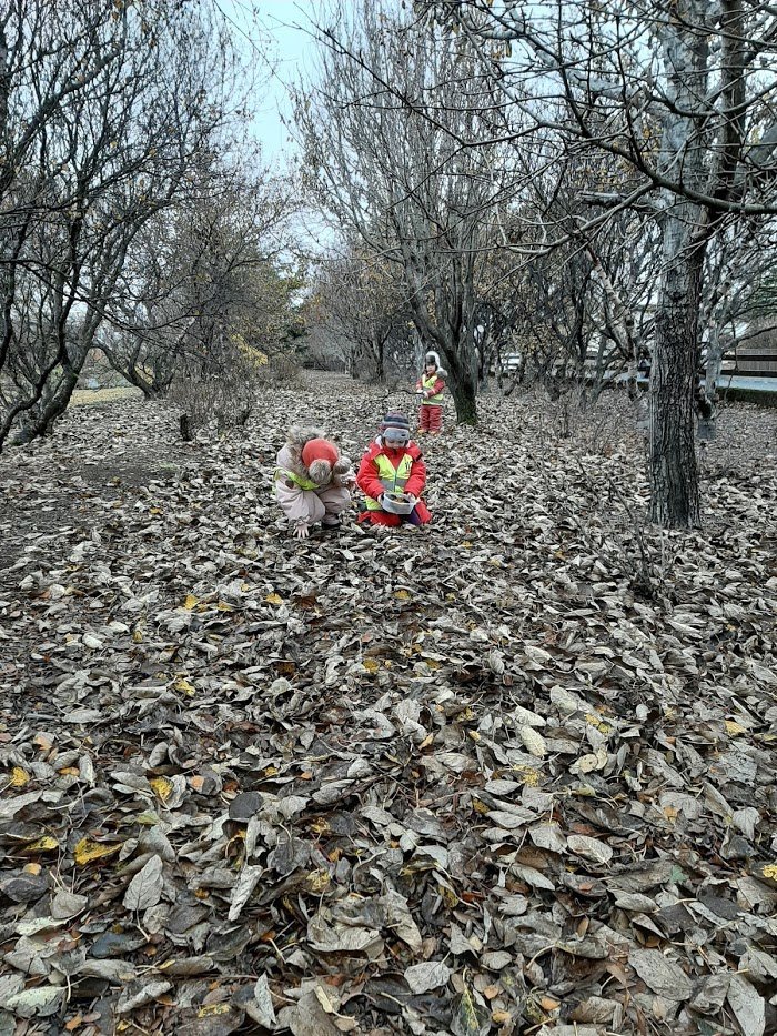 Dvergaheimar-myndir úr starfinu