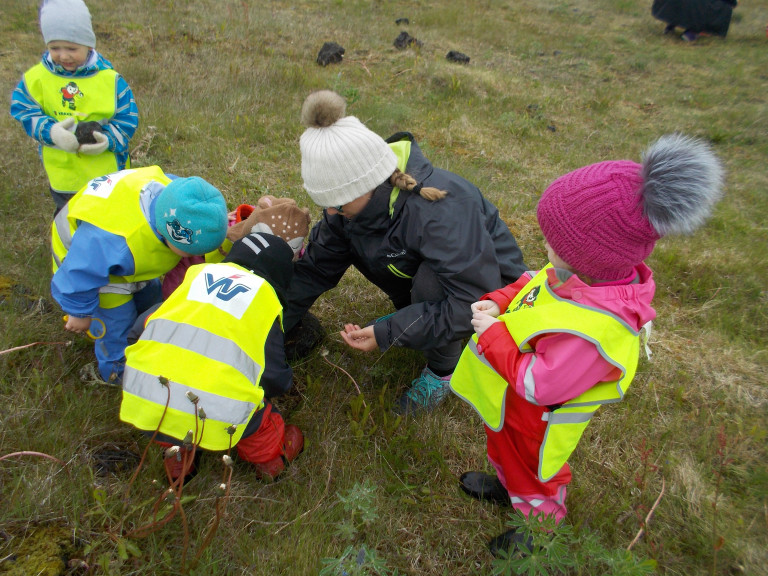 Álfaheimar - skordýra- og ormaskoðun