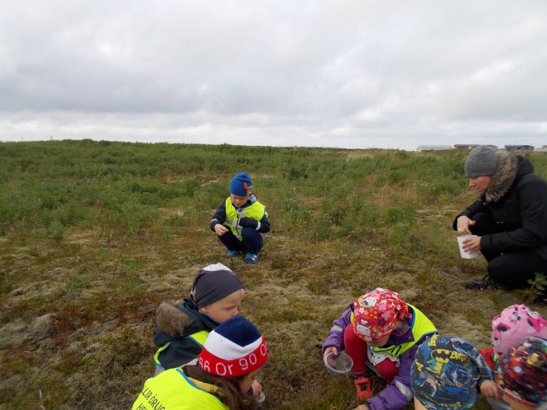 Tröllaheimar - berjamó 2018